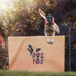 Dog&You - Przeszkoda metrowa - metrówka PREMIUM